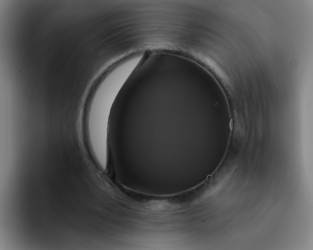 X0000091910391200709261719