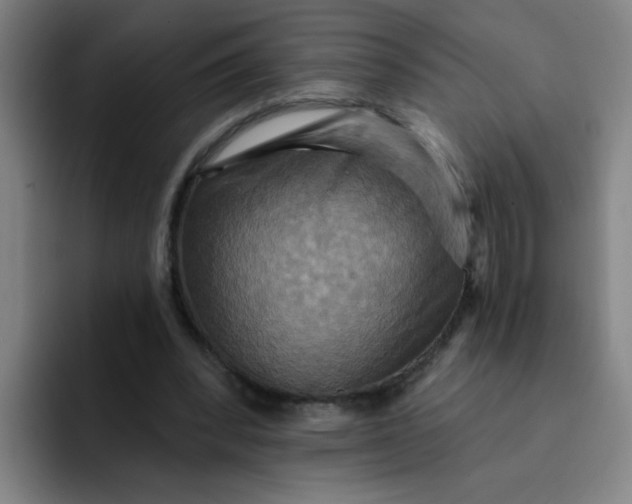 X0000091910392200709261719