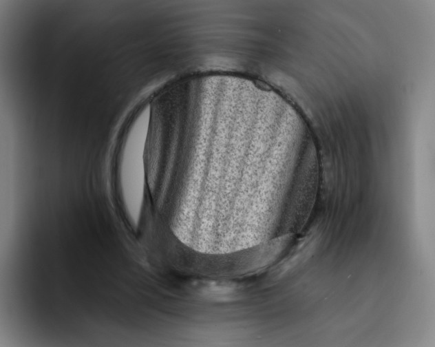 X0000091910395200709261719