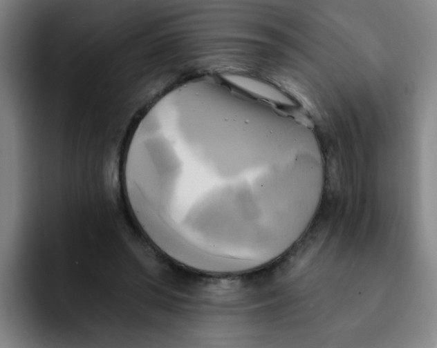 X0000091910398200709261719