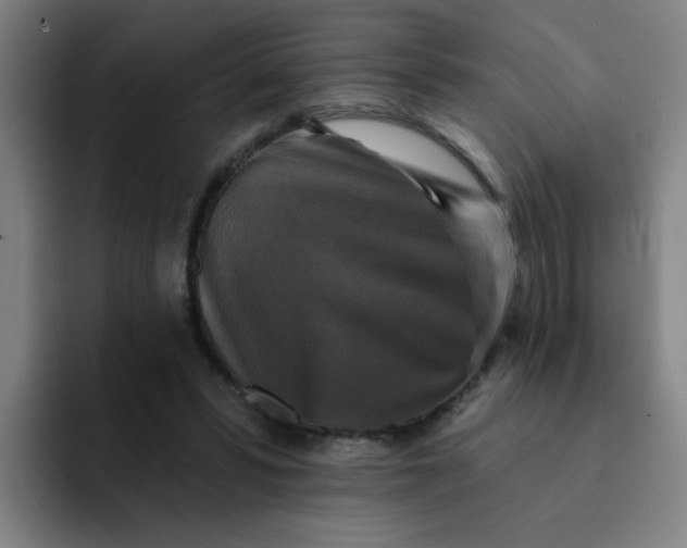 X0000091910399200709261719