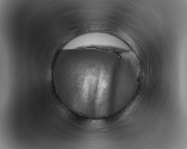 X0000091910401200709261719