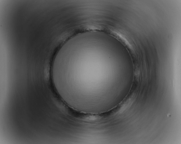 X0000091910402200709261719