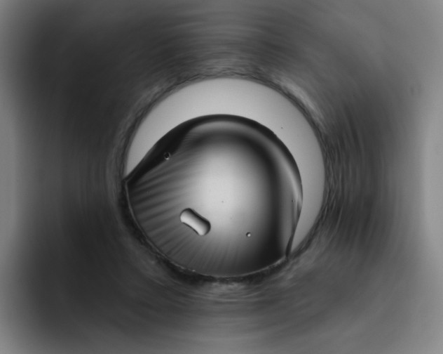 X0000091910403200709261719