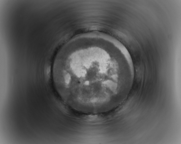 X0000091910406200709261719