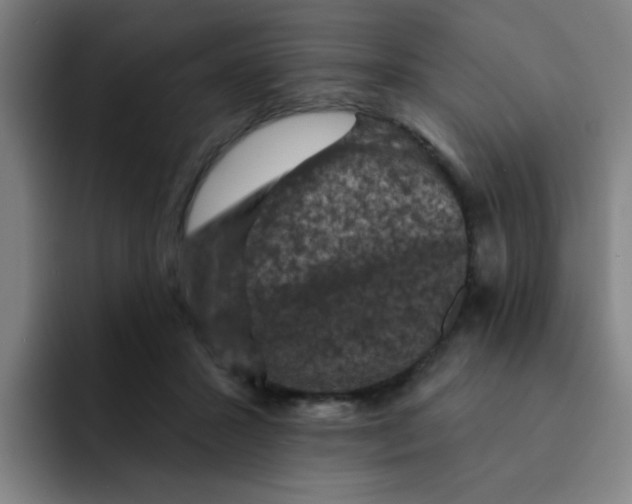 X0000091910407200709261719