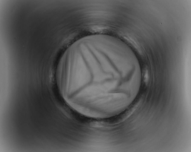 X0000091910408200709261719