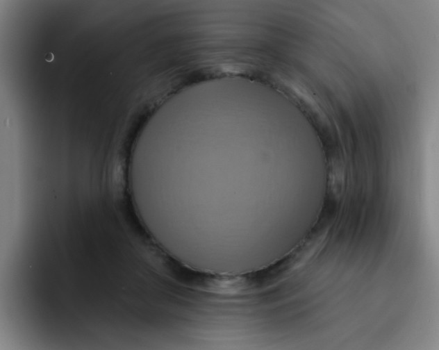 X0000091910410200709261719