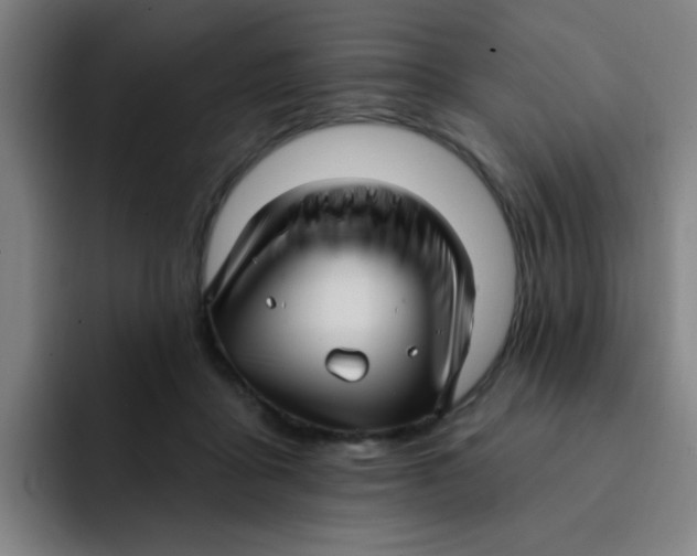 X0000091910411200709261719