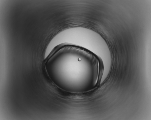 X0000091910412200709261719