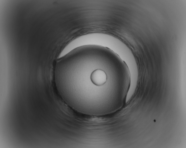 X0000091910413200709261719