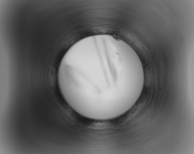 X0000091910414200709261719