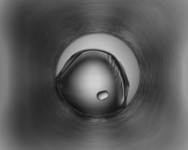 X0000091910415200709261719