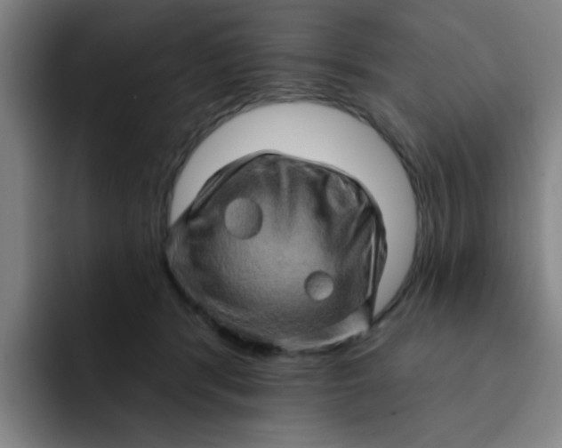 X0000091910416200709261719