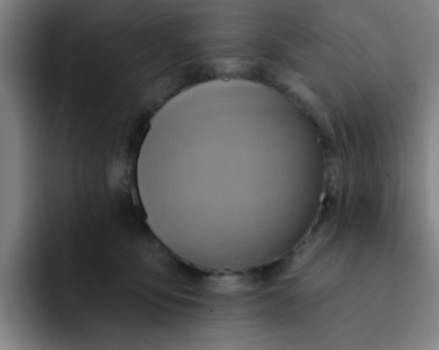 X0000091910419200709261719