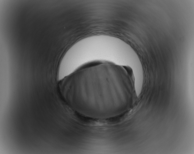 X0000091910420200709261719