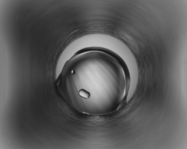 X0000091910421200709261719