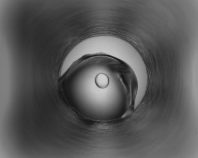 X0000091910423200709261719