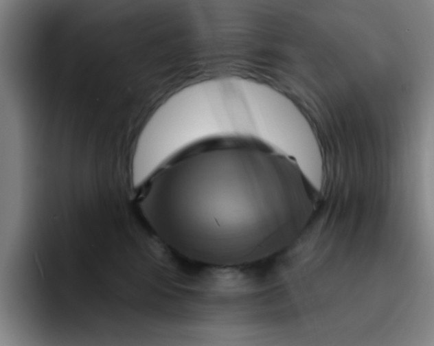 X0000091910424200709261719