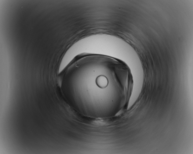 X0000091910425200709261719