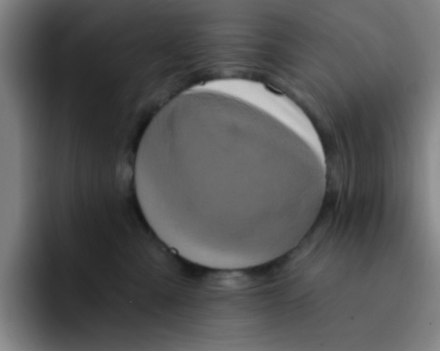 X0000091910427200709261719