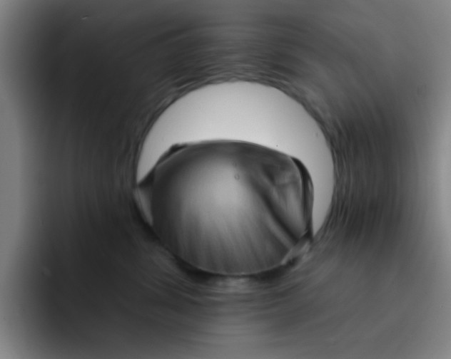 X0000091910428200709261719