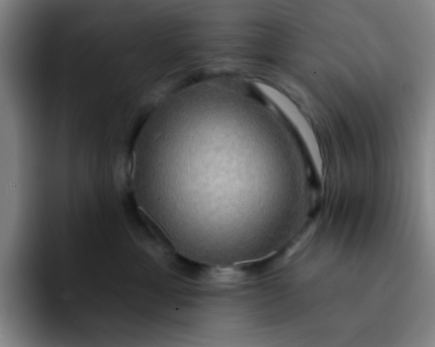 X0000091910429200709261719