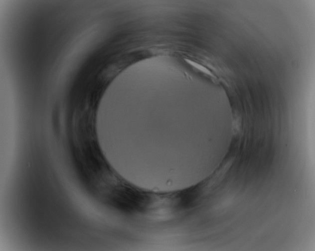 X0000091910431200709261719