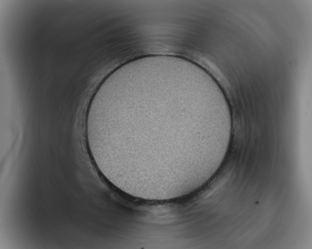 X0000091910433200709261718