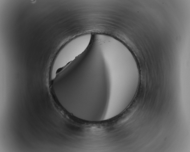 X0000091910434200709261718