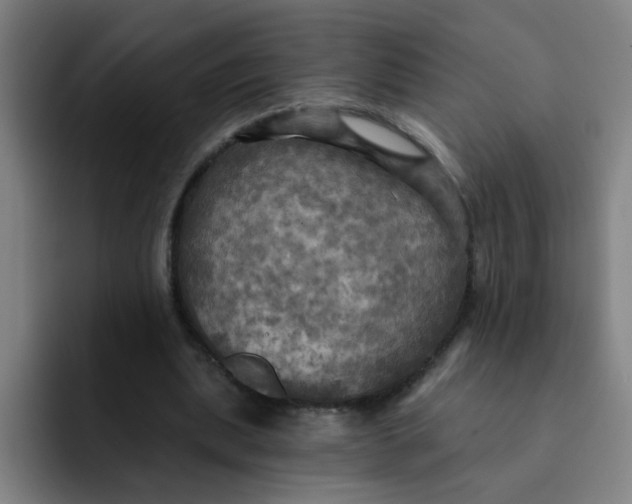 X0000091910439200709261718