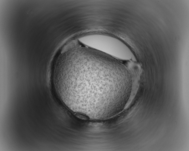 X0000091910440200709261719