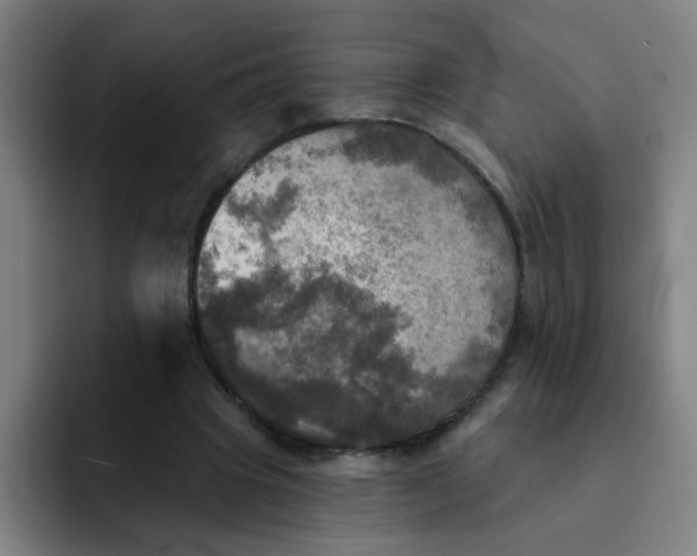 X0000091910441200709261719