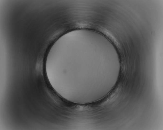 X0000091910442200709261719