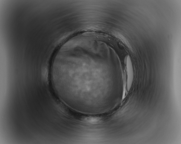 X0000091910444200709261719