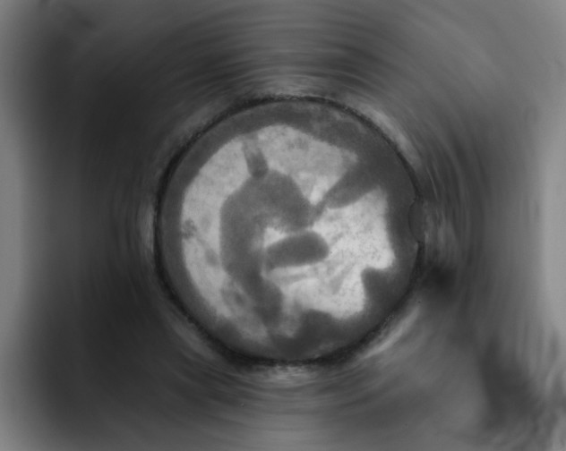 X0000091910445200709261719