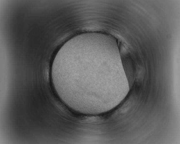 X0000091910446200709261719