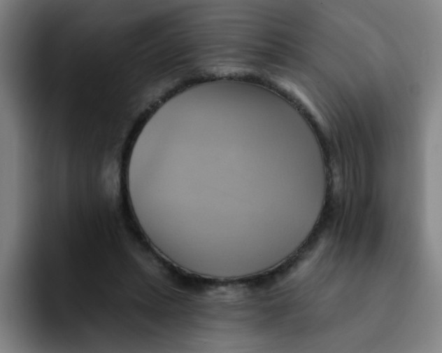 X0000091910447200709261719