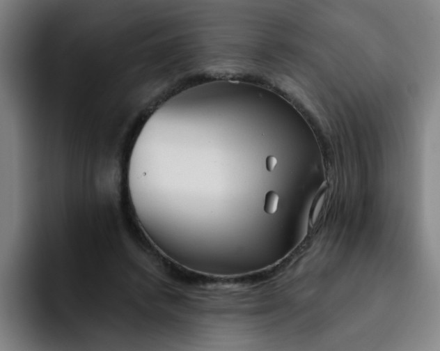 X0000091910448200709261719