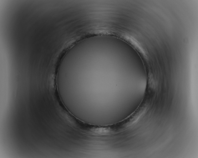 X0000091910449200709261719