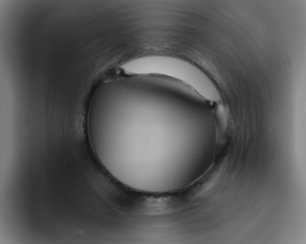 X0000091910450200709261719