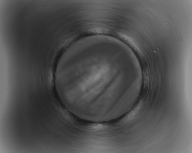 X0000091910453200709261719