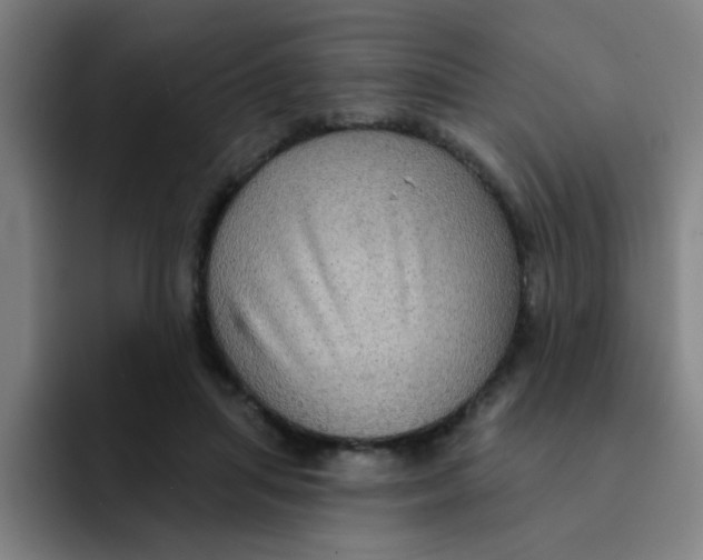 X0000091910455200709261719