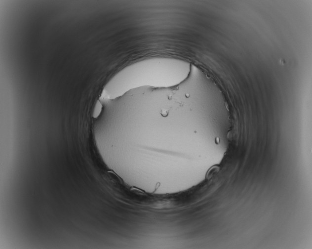 X0000091910456200709261719