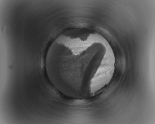 X0000091910457200709261719