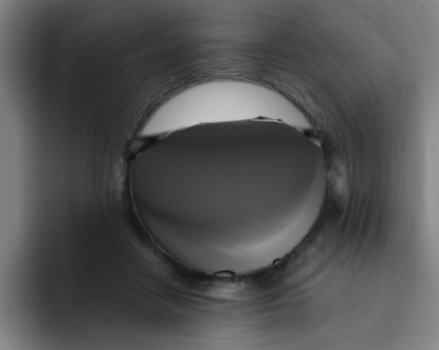 X0000091910458200709261719