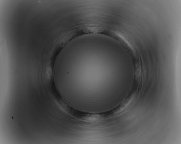 X0000091910459200709261719