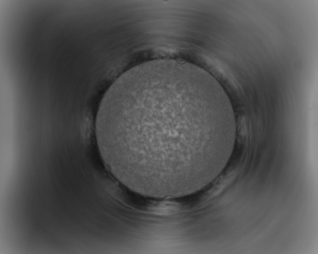 X0000091910463200709261719