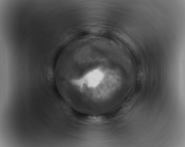 X0000091910469200709261719