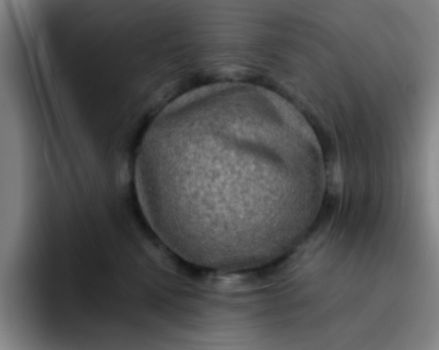 X0000091910472200709261719